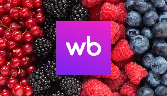 Продвижение на Wildberries